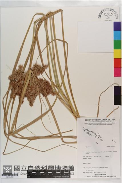 登錄號:S203493藏品圖，第1張