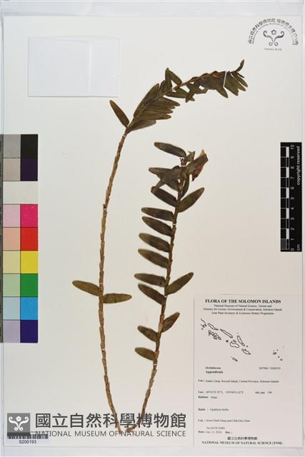 登錄號:S200193藏品圖，第1張