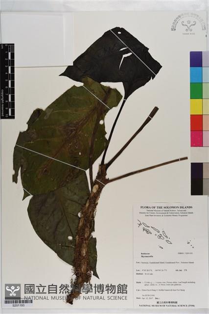 登錄號:S201193藏品圖，第1張