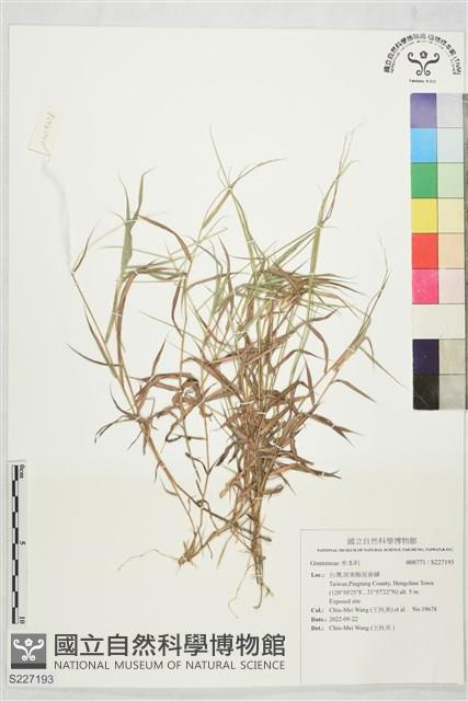 登錄號:S227193藏品圖，第1張