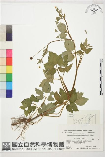 登錄號:S152393藏品圖，第1張