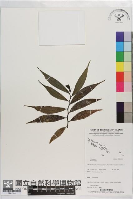 登錄號:S201393藏品圖，第1張