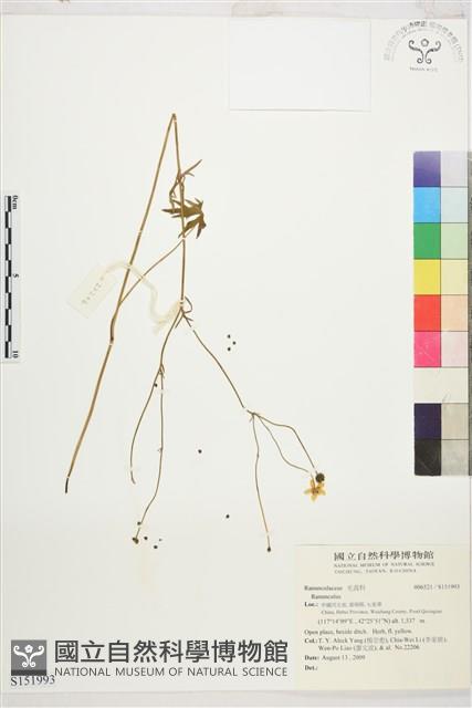 登錄號:S151993藏品圖，第1張