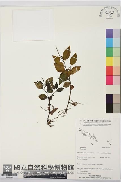 登錄號:S195993藏品圖，第1張