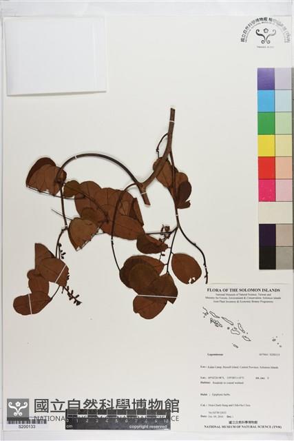 登錄號:S200133藏品圖，第1張