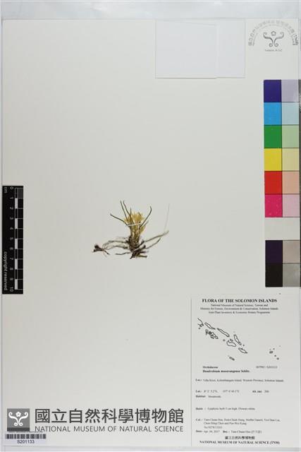 登錄號:S201133藏品圖，第1張