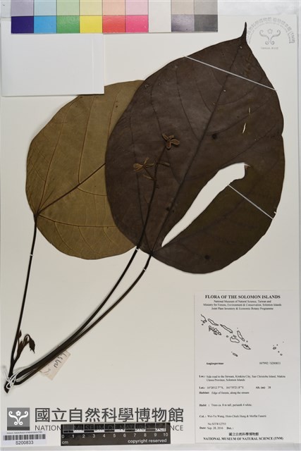 登錄號:S200833藏品圖，第1張