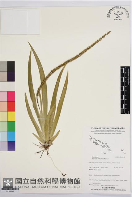 登錄號:S195833藏品圖，第1張