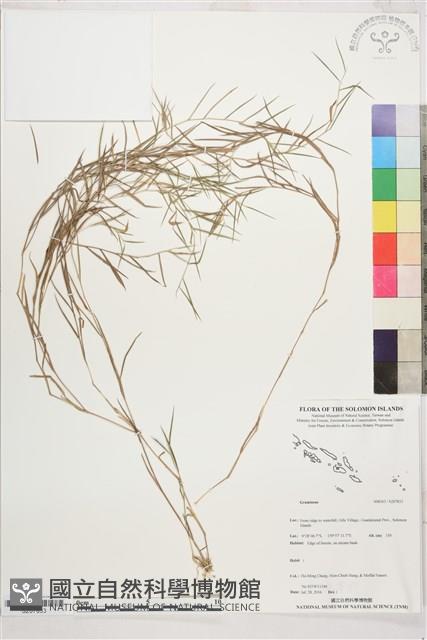 登錄號:S207833藏品圖，第1張