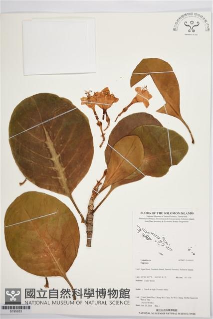 登錄號:S195933藏品圖，第1張