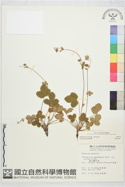 登錄號:S011533藏品圖，第2張