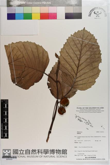 登錄號:S203533藏品圖，第1張