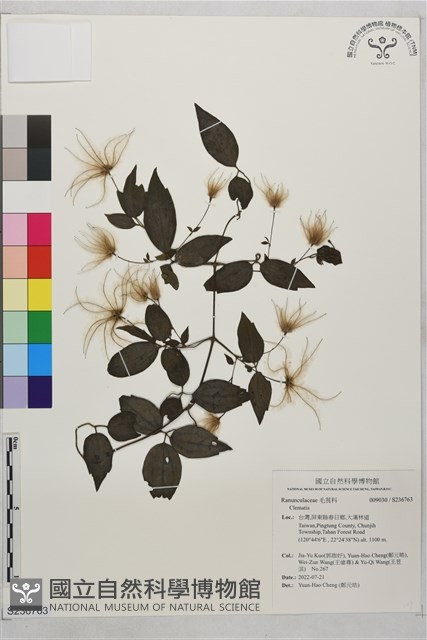 登錄號:S236763藏品圖，第1張