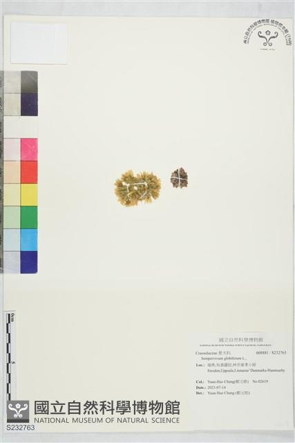 登錄號:S232763藏品圖，第1張