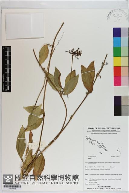 登錄號:S200263藏品圖，第1張