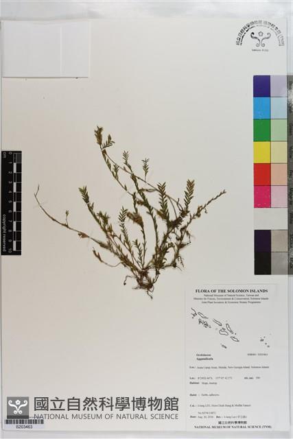 登錄號:S203463藏品圖，第1張