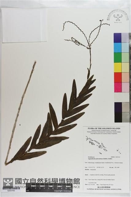 登錄號:S203163藏品圖，第1張