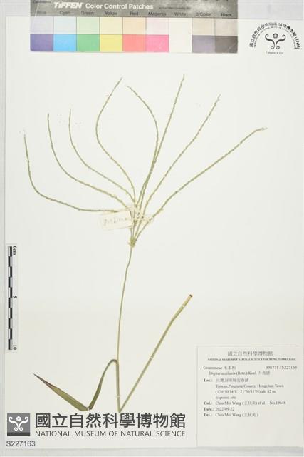 升馬唐藏品圖，第1張