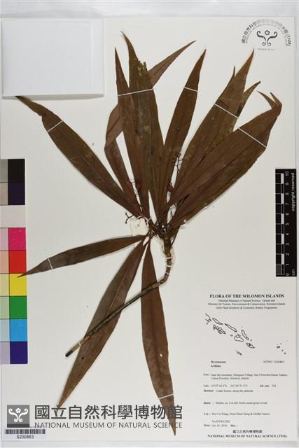 登錄號:S200863藏品圖，第1張