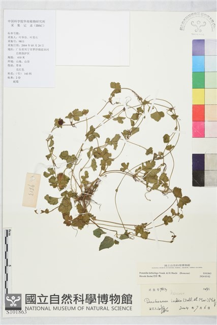 登錄號:S101863藏品圖，第1張