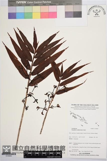 登錄號:S195863藏品圖，第1張