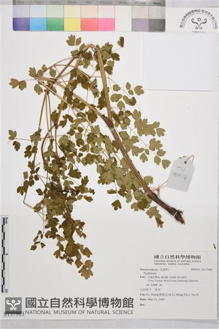 登錄號:S137963藏品圖，第1張