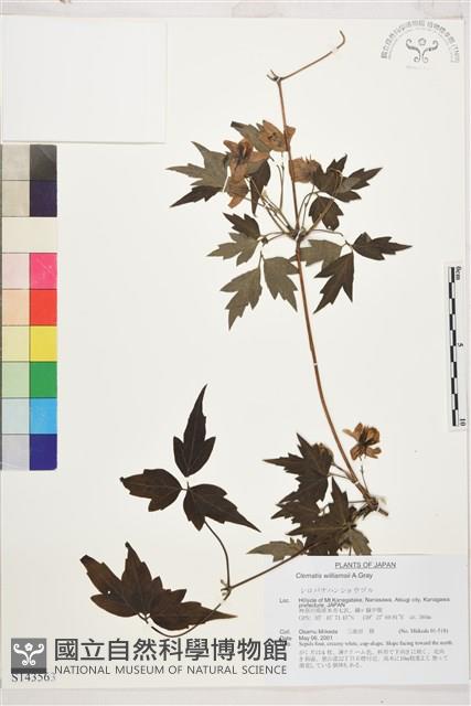 登錄號:S143563藏品圖，第1張