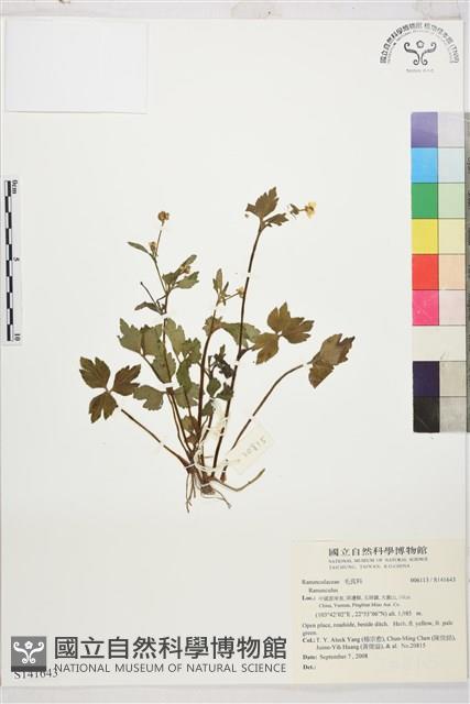 登錄號:S141643藏品圖，第1張