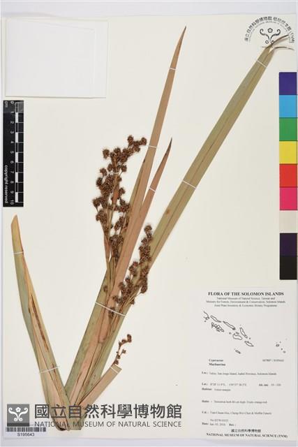 登錄號:S195643藏品圖，第1張