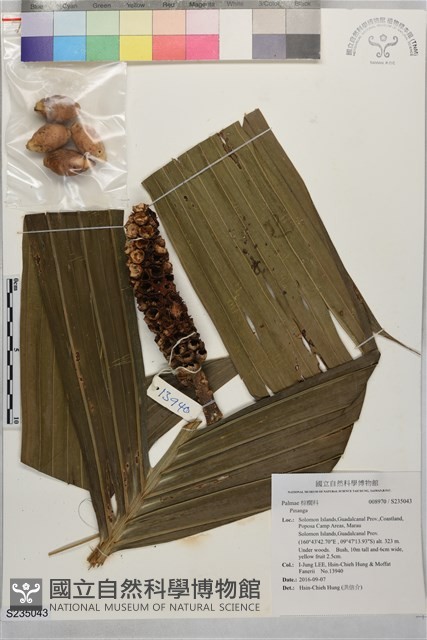 登錄號:S235043藏品圖，第1張