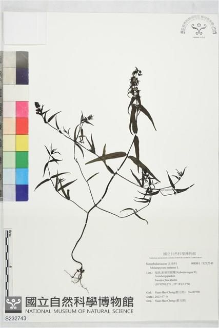 登錄號:S232743藏品圖，第1張