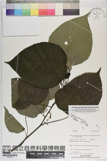 登錄號:S200243藏品圖，第1張