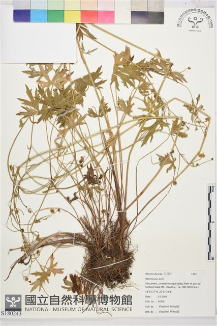 登錄號:S180243藏品圖，第1張