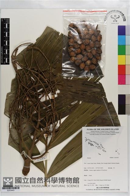 登錄號:S203443藏品圖，第1張