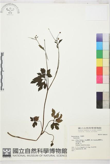 登錄號:S046143藏品圖，第1張