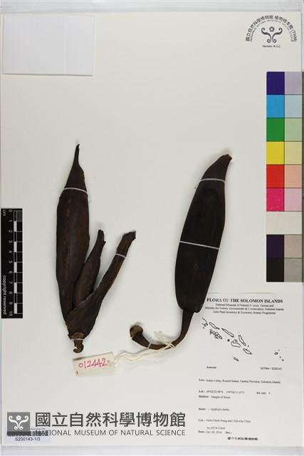 登錄號:S200143藏品圖，第1張