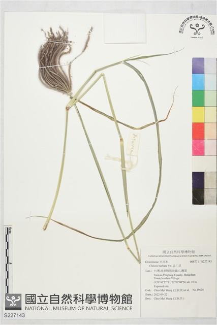 孟仁草藏品圖，第1張