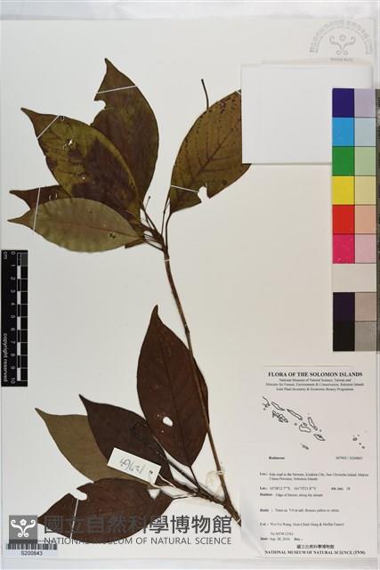 登錄號:S200843藏品圖，第1張