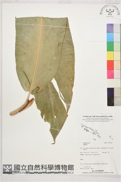 登錄號:S207843藏品圖，第1張