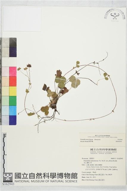 登錄號:S162943藏品圖，第1張