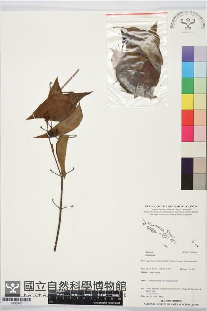 登錄號:S195943藏品圖，第1張