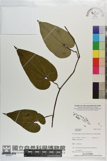 登錄號:S203543藏品圖，第1張