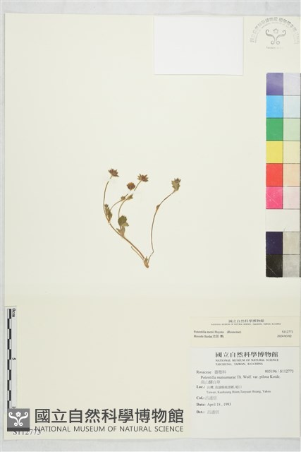 登錄號:S112773藏品圖，第1張