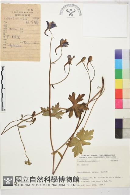 登錄號:S025773藏品圖，第1張