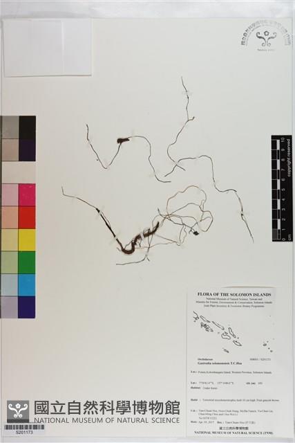 登錄號:S201173藏品圖，第1張