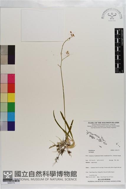 登錄號:S203173藏品圖，第1張