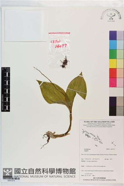 登錄號:S201373藏品圖，第1張