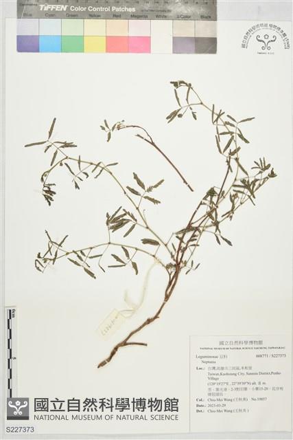 登錄號:S227373藏品圖，第1張