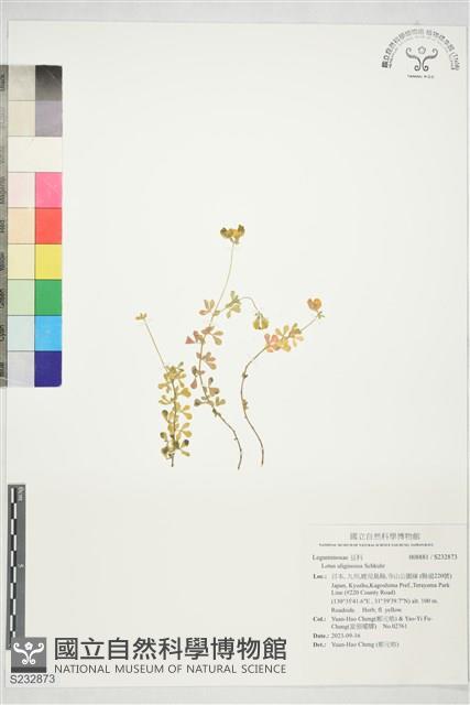 登錄號:S232873藏品圖，第1張