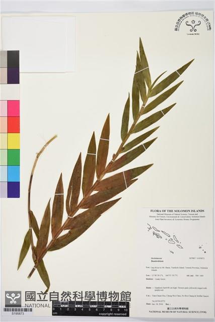 登錄號:S195873藏品圖，第1張